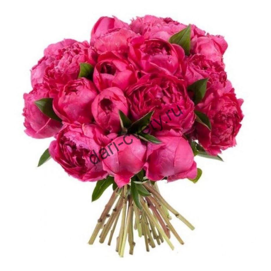 Купить цветы пионы в раменском заказ цветы с доставкой анапа